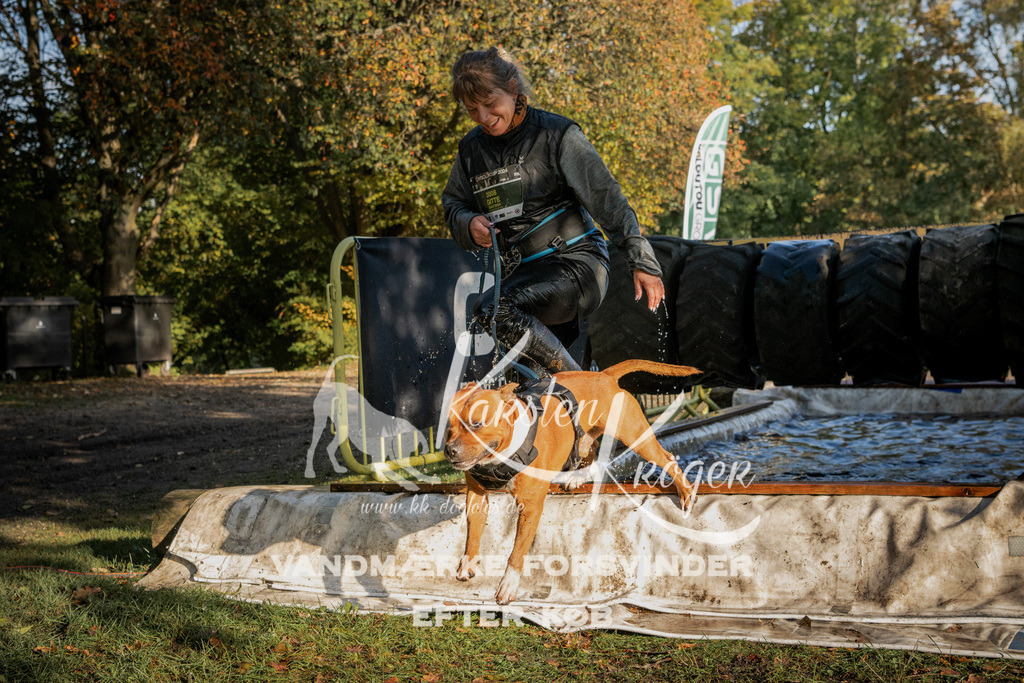 0950_ZZ92020 | kk-dogfotos