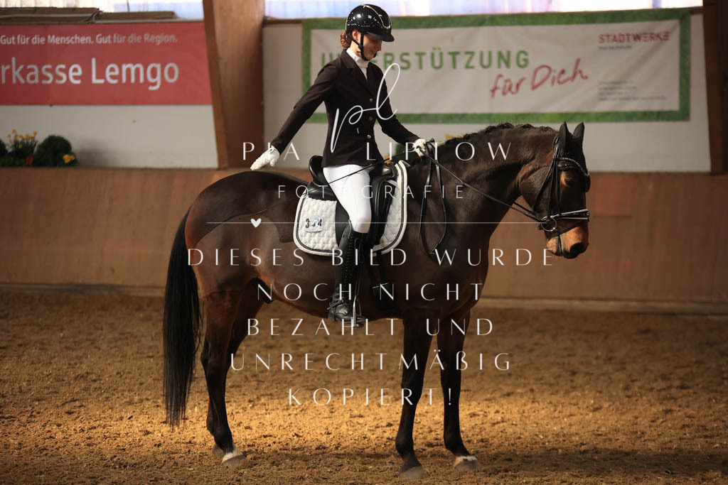 IMGT7841 | pl-fotografie