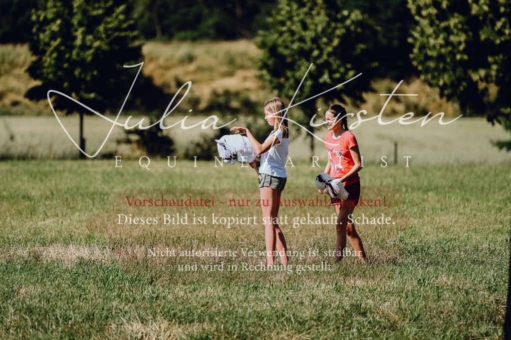 DSC_1829 | Pferde- und Turnierfotografie in Westsachsen. Pferdeportraits, Auftragszeichnungen und intuitive Kunst.