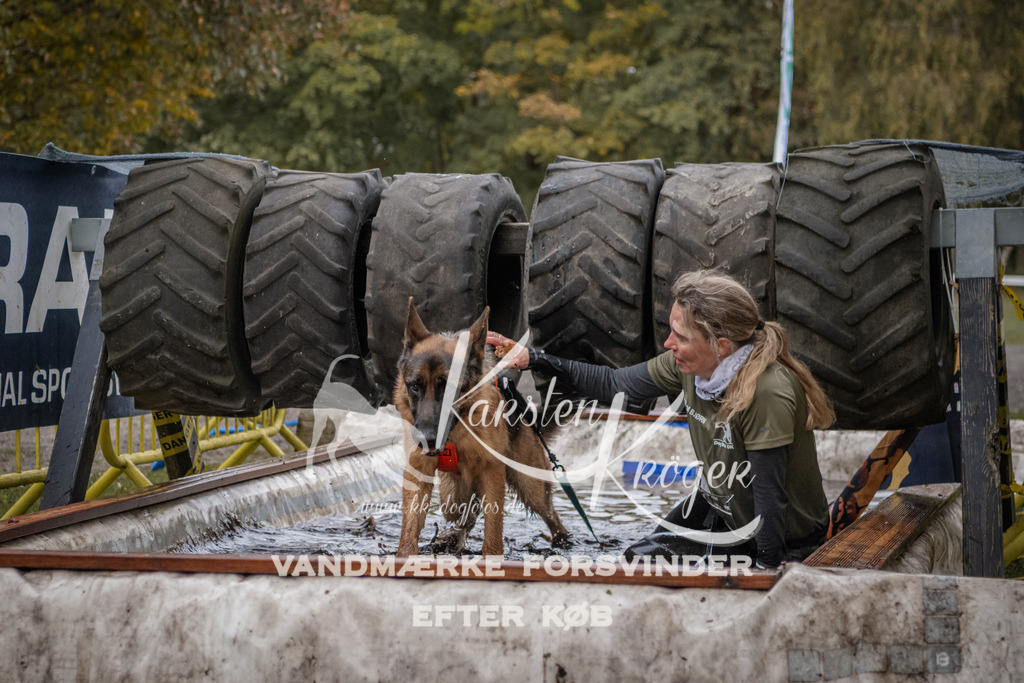 1618_ZZ92999 | kk-dogfotos