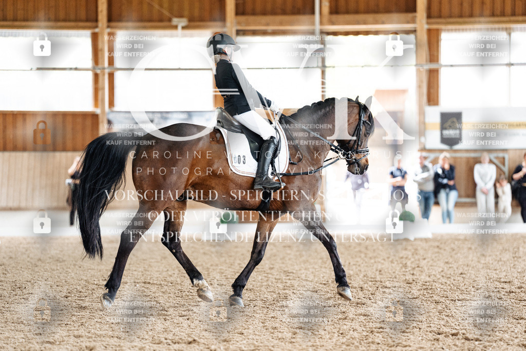CK901705 | Turnierfotografie Pferdefotografie Trier Rheinland-Pfalz Pferdesport Reitsport Tierfotografie Sportfotografie Pferdevideo Pferdevideografie Equestrianvideography equestrianphotography  - Realisiert mit Pictrs.com