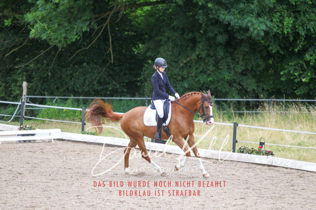 DKP46900 | Turniersportfotografie; Pferdefotografie; Dressurfotografie