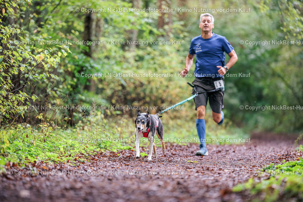 THS-HSV-Blumenthal-2026-Nickbest-Hundefotografie-0619 | Dein Hund! Dein Moment! Deine Erinnerungen! Hundefotografie in Bremen Blumenthal. Ich fange die besonderen Momente deines Vierbeiners ein – ob Indoor mit Blitzanlage oder in der freien Natur. Sicher dir dein Moment und dein Termin für eure Erinnerungen.