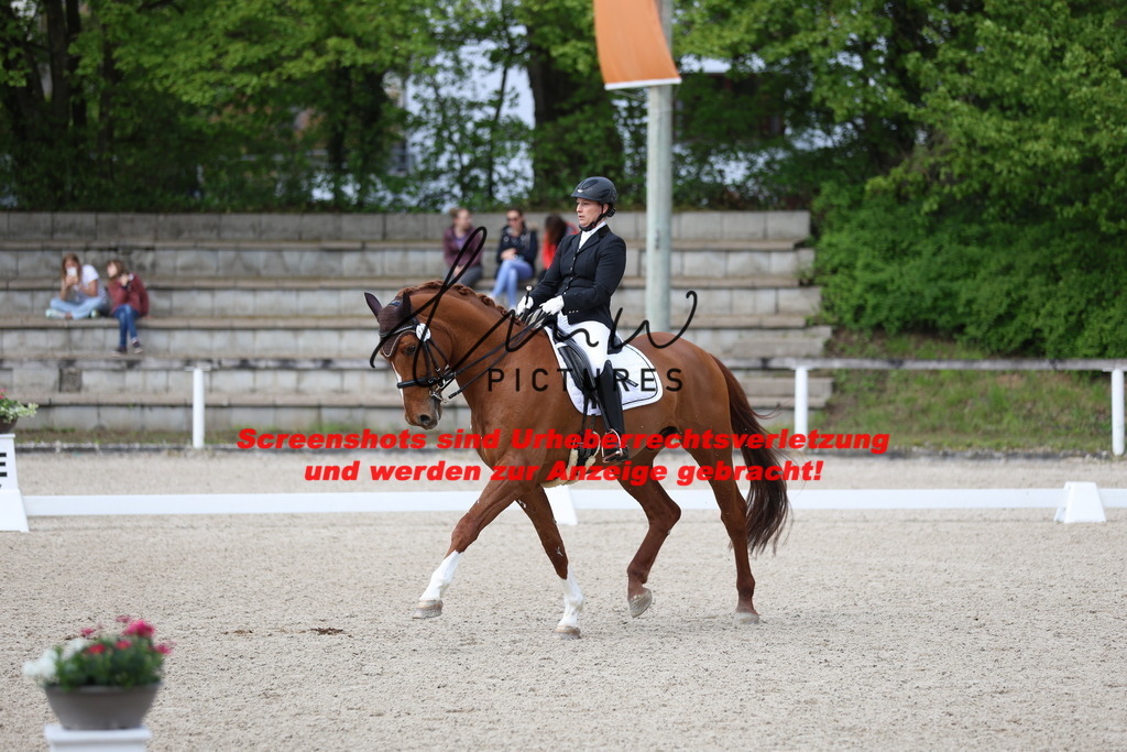 A40A3961 | lmwpictures - Realisiert mit Pictrs.com