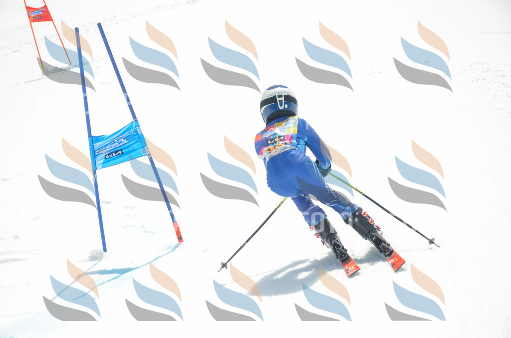 _ELE6503 | holidayphoto