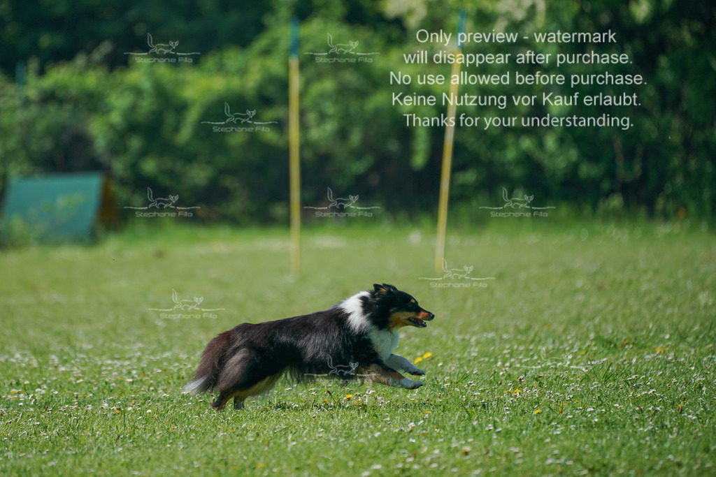 Sa_Gehorsam_Vormittag-59 | stephaniefillaphotographie - Realisiert mit Pictrs.com