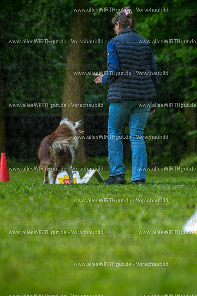 @allesWIRTHgut_Tierfotografie - www.allesWIRTHgut.de - 7R505455 | Professionelle Tierfotografie in Mönchengladbach von Daniel Wirth (allesWIRTHgut). Liebevolle & natürliche Bilder von Hunden & Katzen für unvergessliche Erinnerungen.