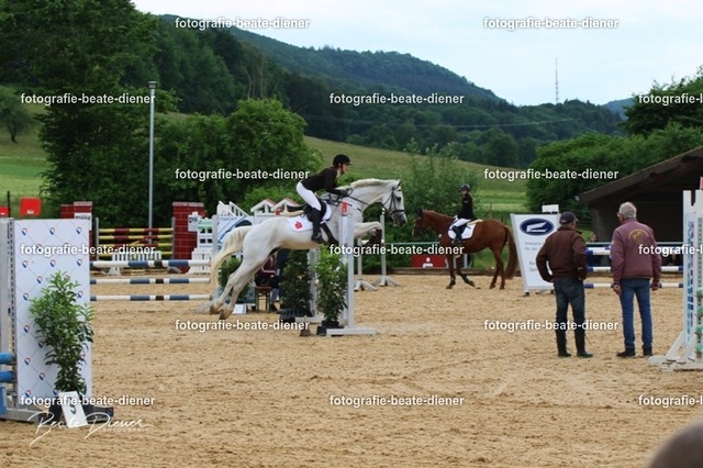 OHT1441 | Fotografie, Tiere, Hunde, Katzen, Pferde, Sportfotografie, Fotosession, Tierfotografie, Turnierfotografie, Fotografin, Fotograf - Realisiert mit Pictrs.com