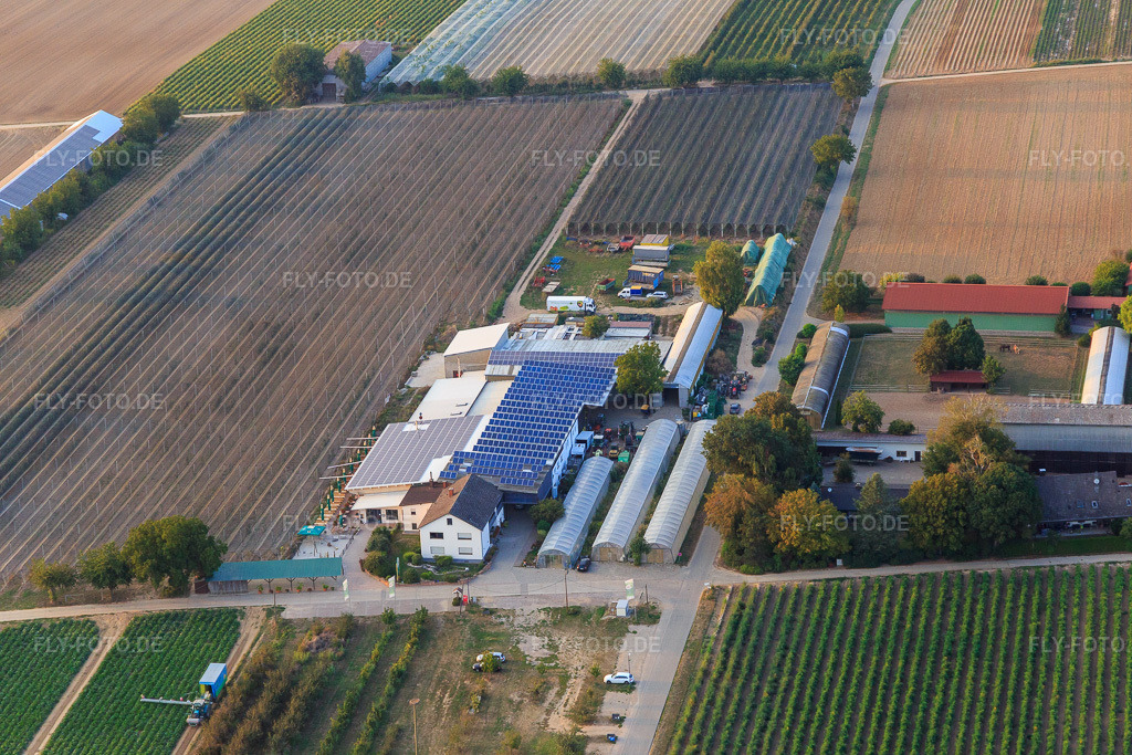 Luftbild: Zapf Hofmarkt Hofcafée in Kandel im Bundesland Rheinland-Pfalz in Deutschland. Foto: IMG_110737.jpg vom 05.09.2018 durch Werner Riehm/FLY-FOTO.deHofmarkt Zapf Kandel