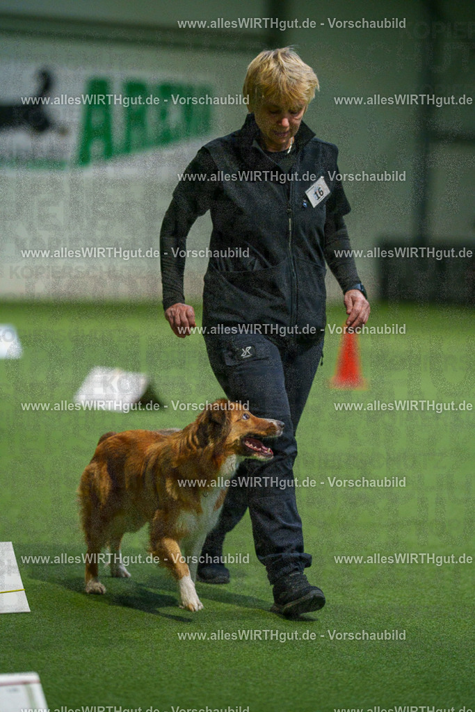 7R505509 | Professionelle Tierfotografie in Mönchengladbach von Daniel Wirth (allesWIRTHgut). Liebevolle & natürliche Bilder von Hunden & Katzen für unvergessliche Erinnerungen.