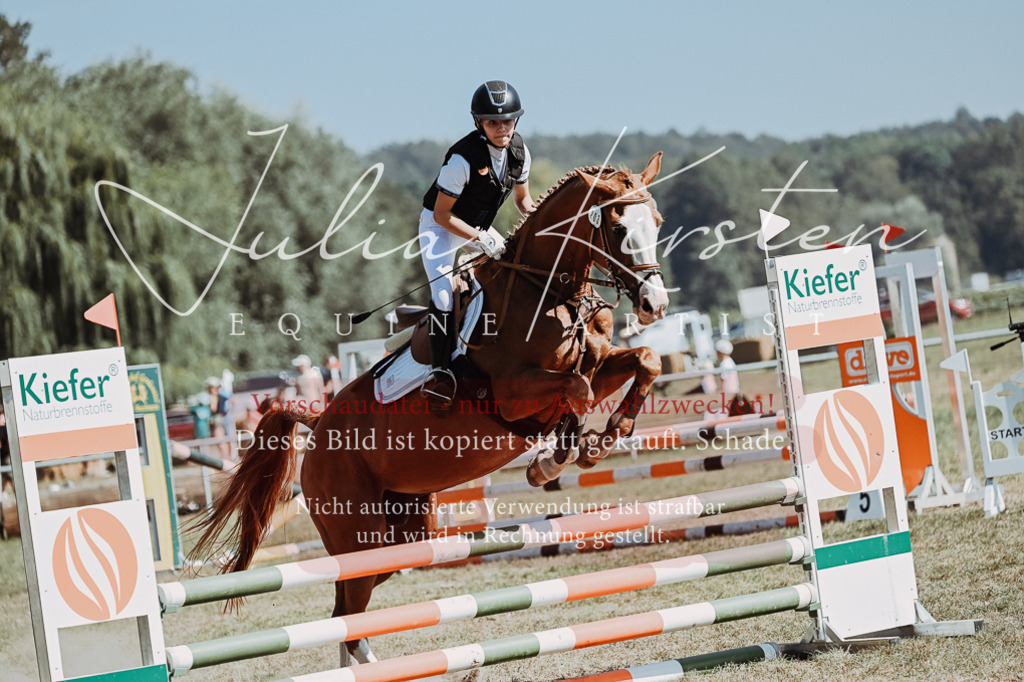 DSC_9522 | Pferde- und Turnierfotografie in Westsachsen. Pferdeportraits, Auftragszeichnungen und intuitive Kunst.