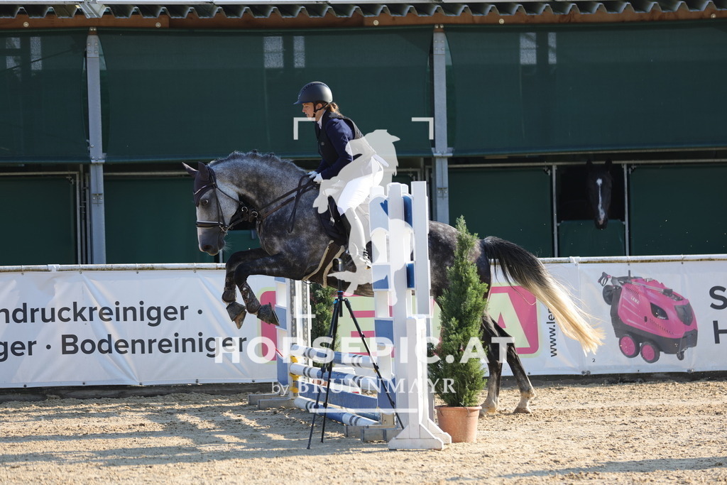 0P6A4112 | Willkommen bei Brunnmayr - Design & Fotografie – Ihrem Spezialisten für Reitturniere und Pferdeveranstaltungen in Oberösterreich, Salzburg und Bayern! Seit über 17 Jahren sind wir leidenschaftlich dabei.