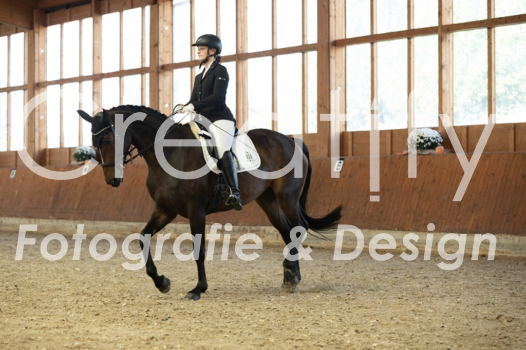 IMG_4840 | Creatify Fotografie