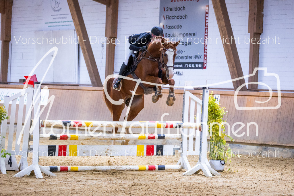 Sth-A-Springen-046 | MomenTaufnahmen Pferdesportfotos