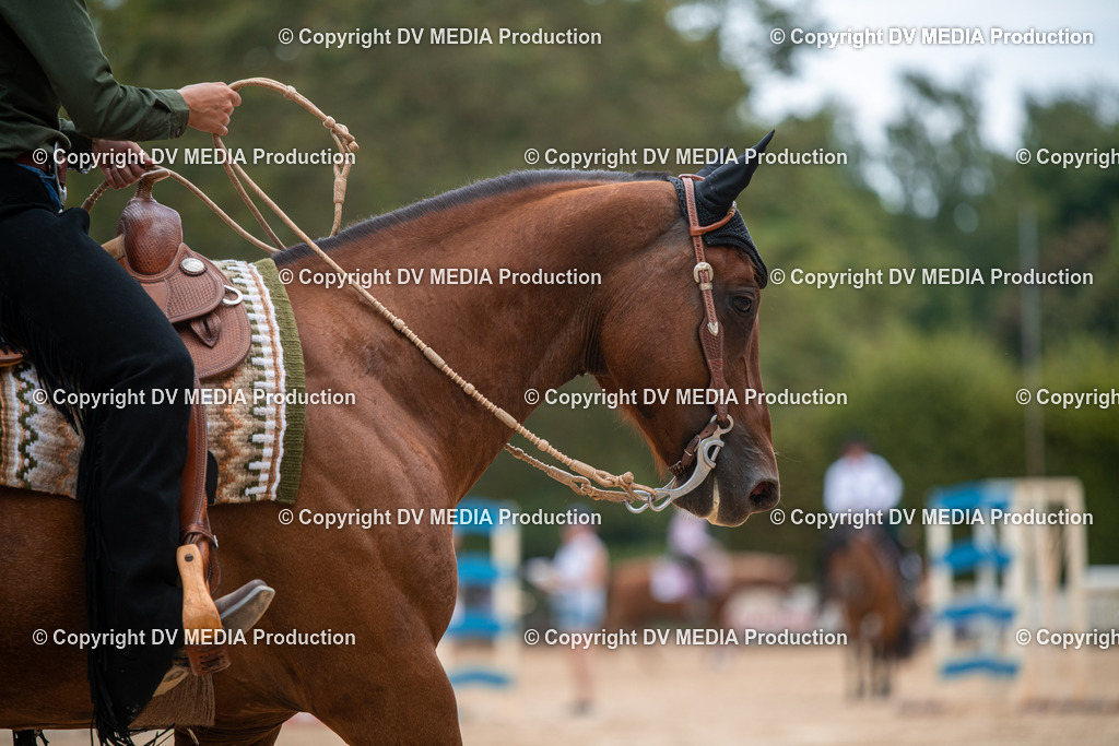 ZS2_8371 | dv-media-shop - Realisiert mit Pictrs.com