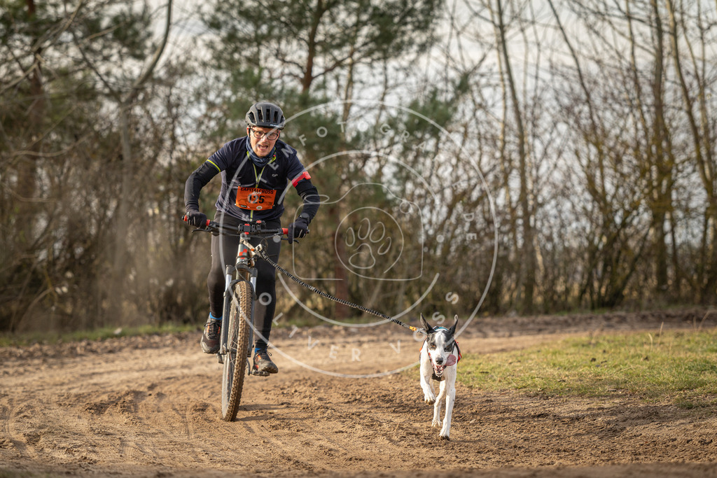 Pfotenfotografie_DV3A8640 | Hundefotografie, Tierfotograf, Pfotenfotografie, Fotoshooting Hund, Hunde Portrait, Hundesport, Hundeportraits, Heideshooting, Hunde, Sportfotograf, Hundefotograf, Turnierhundsport, THS,  - Realisiert mit Pictrs.com