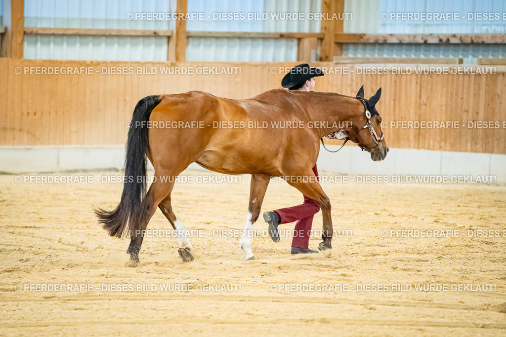 DSC09645 | Pferdegrafie