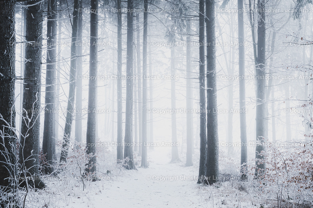 12.Dez | bildkomponist - Realisiert mit Pictrs.com