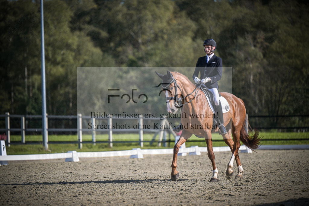 DOS_3431 | Entdecke hochwertige Reitturnierfotos von Foto Oger. Professionell, emotional und authentisch – jetzt Lieblingsmomente im Shop bestellen.Deutschlandweite Turnierfotografie. - Realisiert mit Pictrs.com