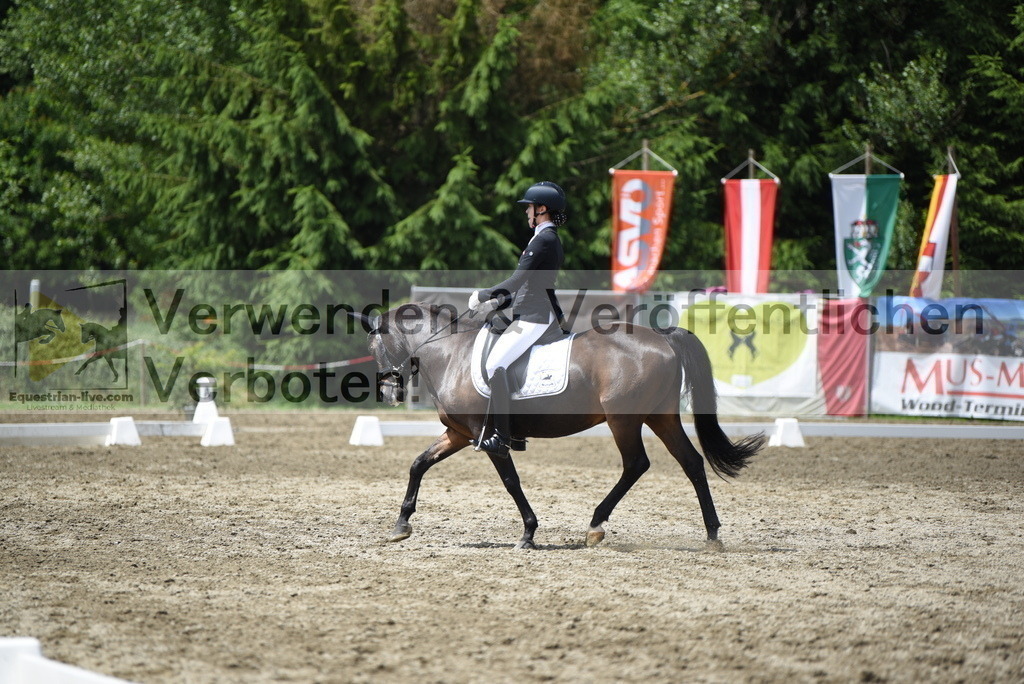 DSC_1374 | equestrian-live-com