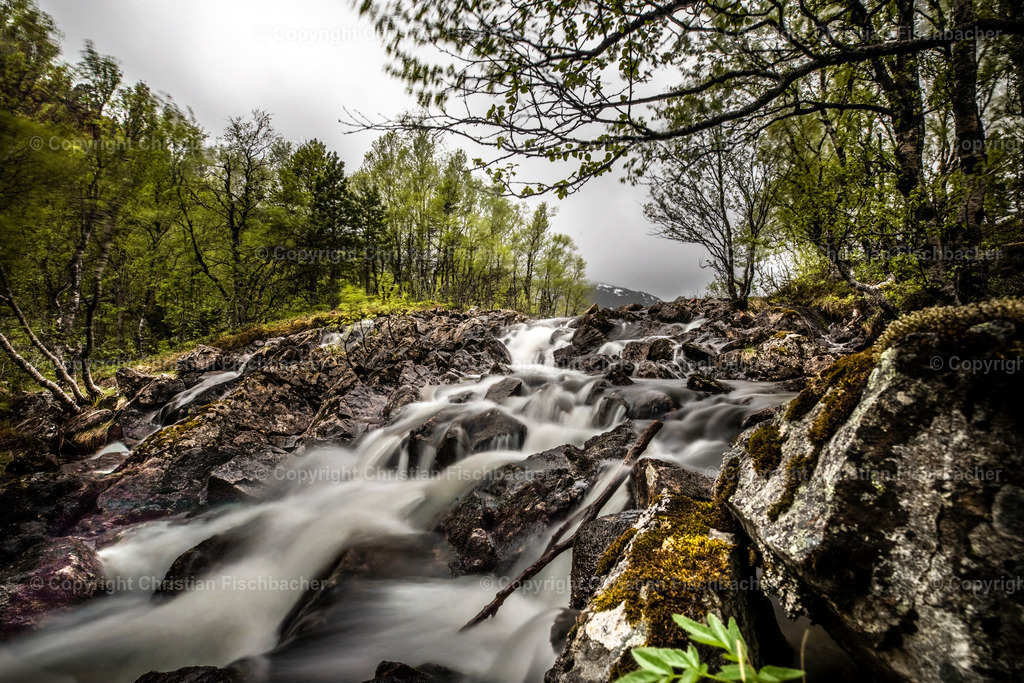 Fotos_Copyright_Chri_Fischbacher_Druck-299 | Bildershop Chri Fischbacher - Realisiert mit Pictrs.com