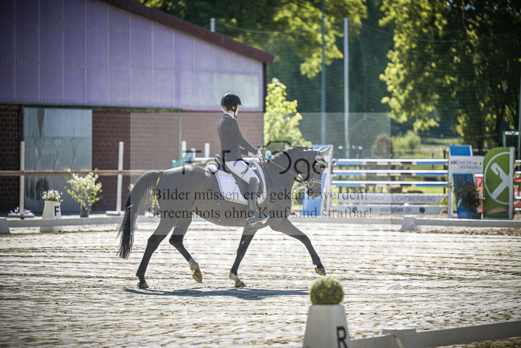 DOS_2243 | Entdecke hochwertige Reitturnierfotos von Foto Oger. Professionell, emotional und authentisch – jetzt Lieblingsmomente im Shop bestellen.Deutschlandweite Turnierfotografie. - Realisiert mit Pictrs.com