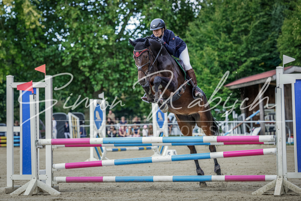 20250906-_3LI5936 | Tierfotografie Pferde, Hunde, Katzen, Haustiere.
Turnierfotografie Reitturniere, Reiten, Springreiten, Dressur in Hanau, dem Main-Kinzig-Kreis und dem Rhein-Main- Gebiet um Frankfurt