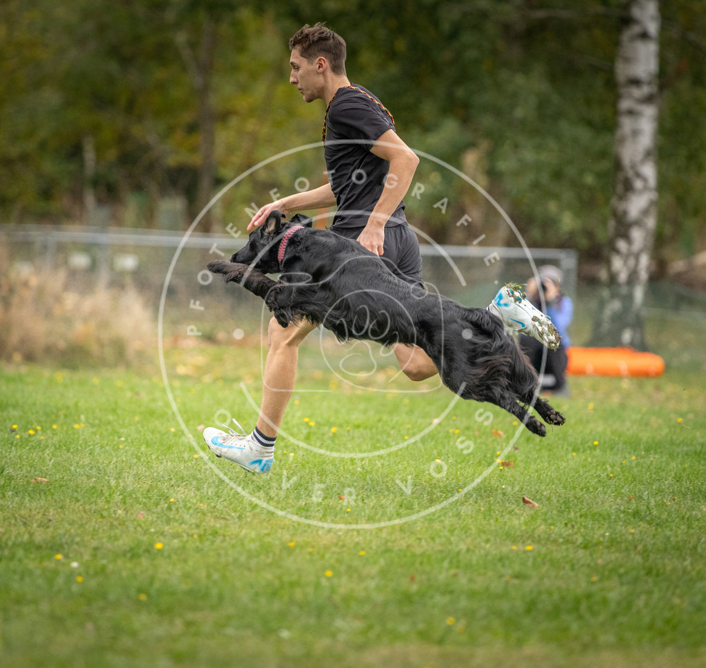Pfotenfotografie_DV3A0073 | Hundefotografie, Tierfotograf, Pfotenfotografie, Fotoshooting Hund, Hunde Portrait, Hundesport, Hundeportraits, Heideshooting, Hunde, Sportfotograf, Hundefotograf, Turnierhundsport, THS,  - Realisiert mit Pictrs.com