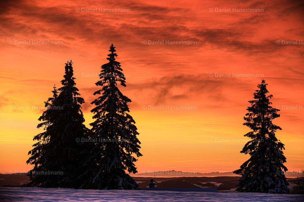 IMG_0278 | Hier finden Sie Poster, Leinwandfotos sowie viele weitere Fotoprodukte mit Motiven aus dem Schwarzwald, aus Freiburg und dem Kaiserstuhl zum Download und zum Bestellen.  - Realisiert mit Pictrs.com