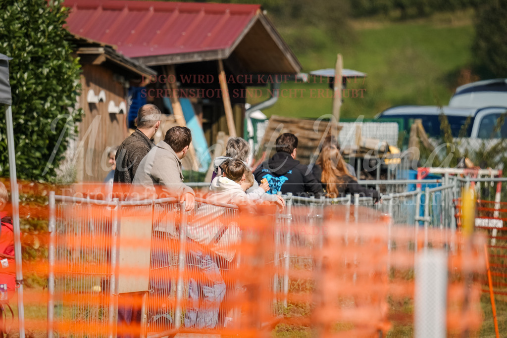20250928_Hunderennen-396 | MuT (Mensch und Tier) mit Mona - Fotografie und Tierkommunikation - Realisiert mit Pictrs.com