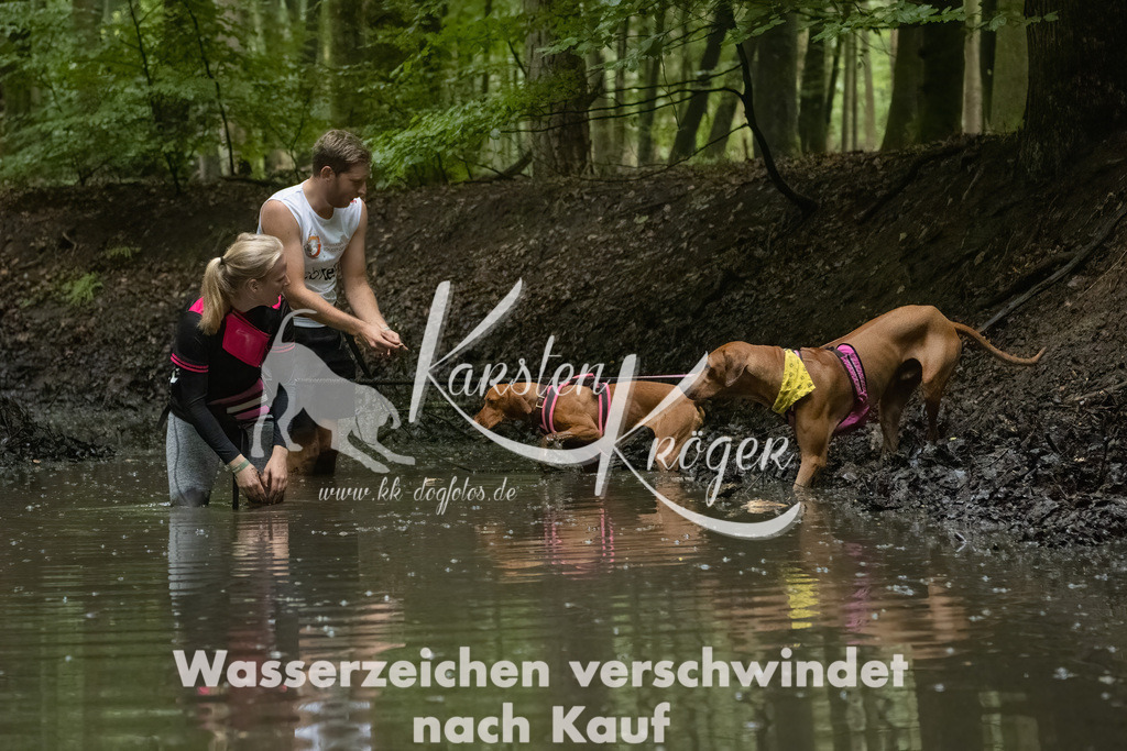 1027_ZZ92256-Bearbeitet | kk-dogfotos