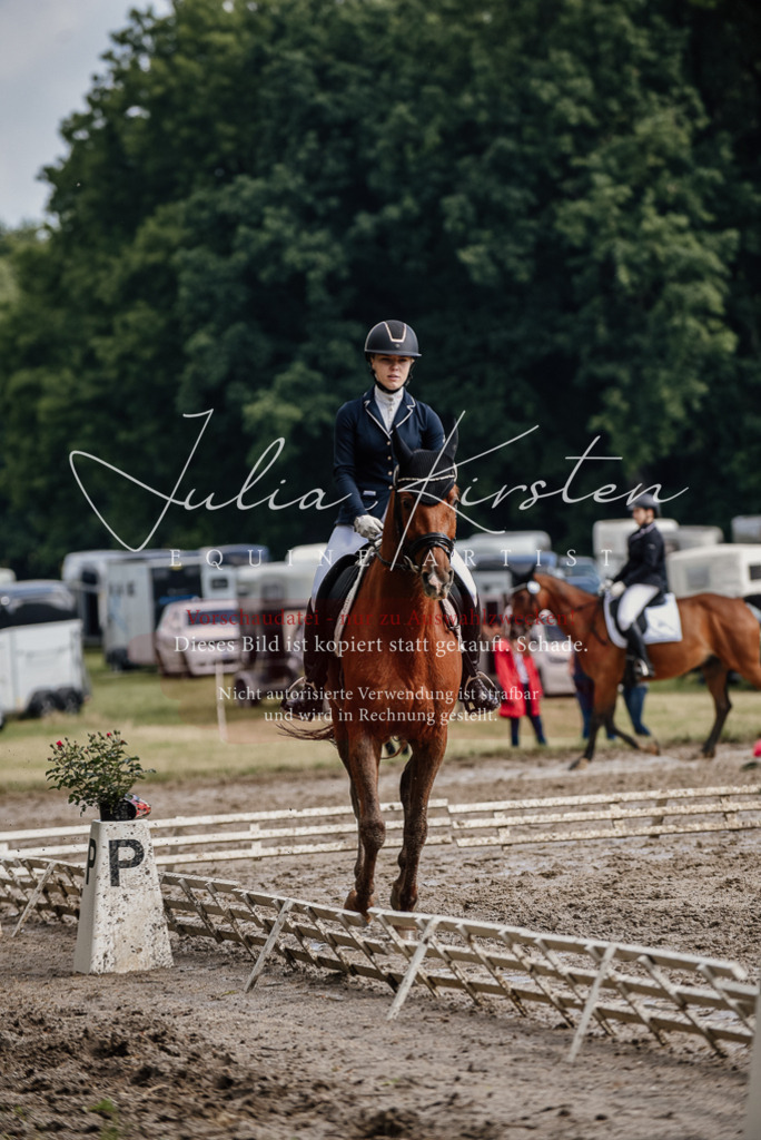 DSC_8957 | Pferde- und Turnierfotografie in Westsachsen. Pferdeportraits, Auftragszeichnungen und intuitive Kunst.