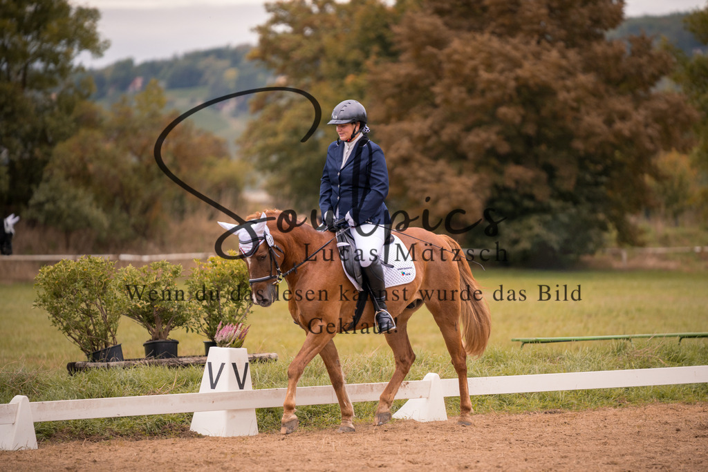 A7V04954 | Pferdefotograf