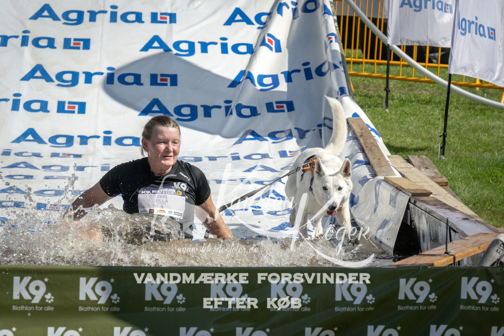 1139_ZZ93267 | kk-dogfotos