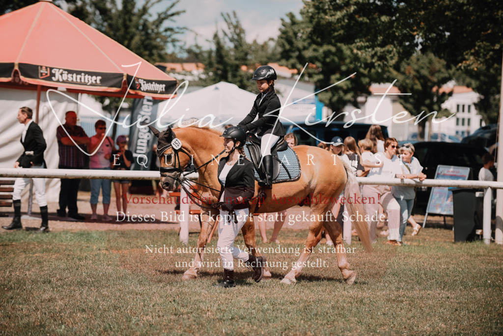 DSC_6089 | Pferde- und Turnierfotografie in Westsachsen. Pferdeportraits, Auftragszeichnungen und intuitive Kunst.
