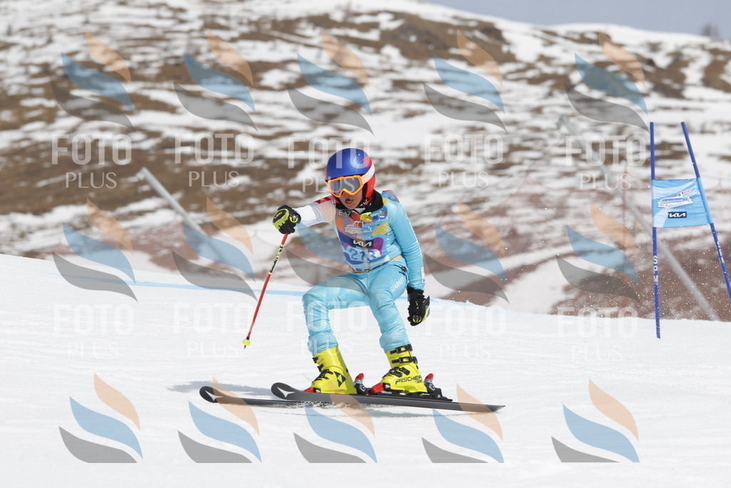 _U3G2264 | holidayphoto