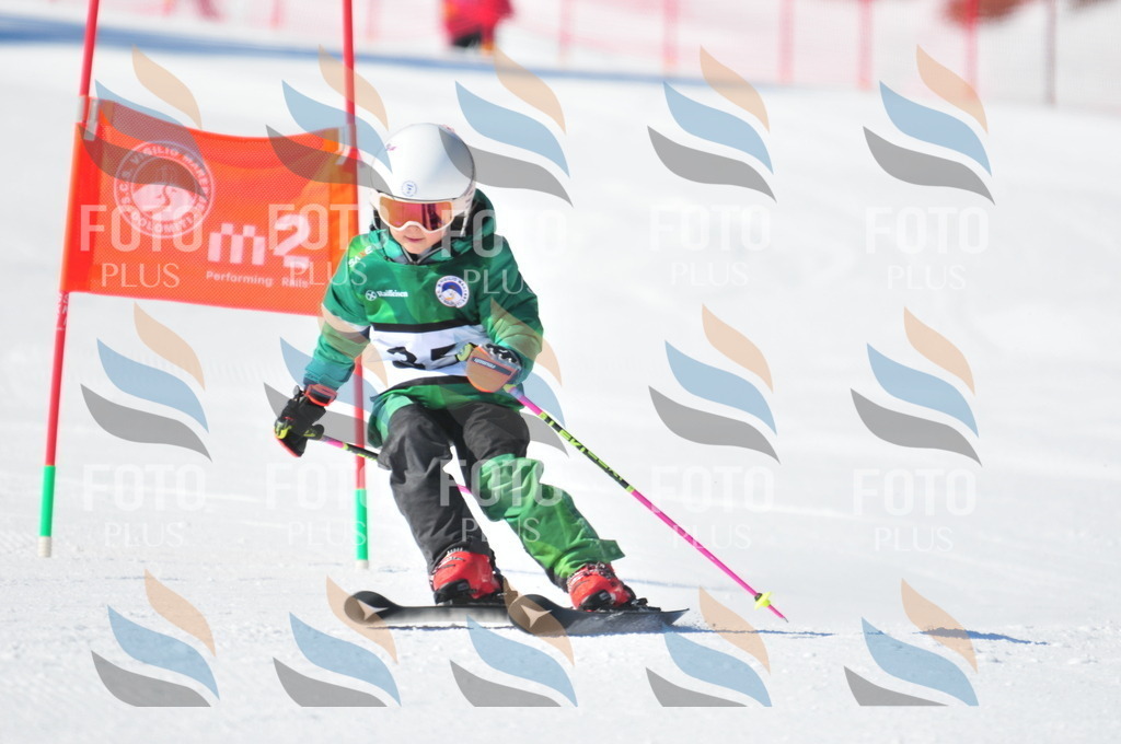 C2677 | holidayphoto