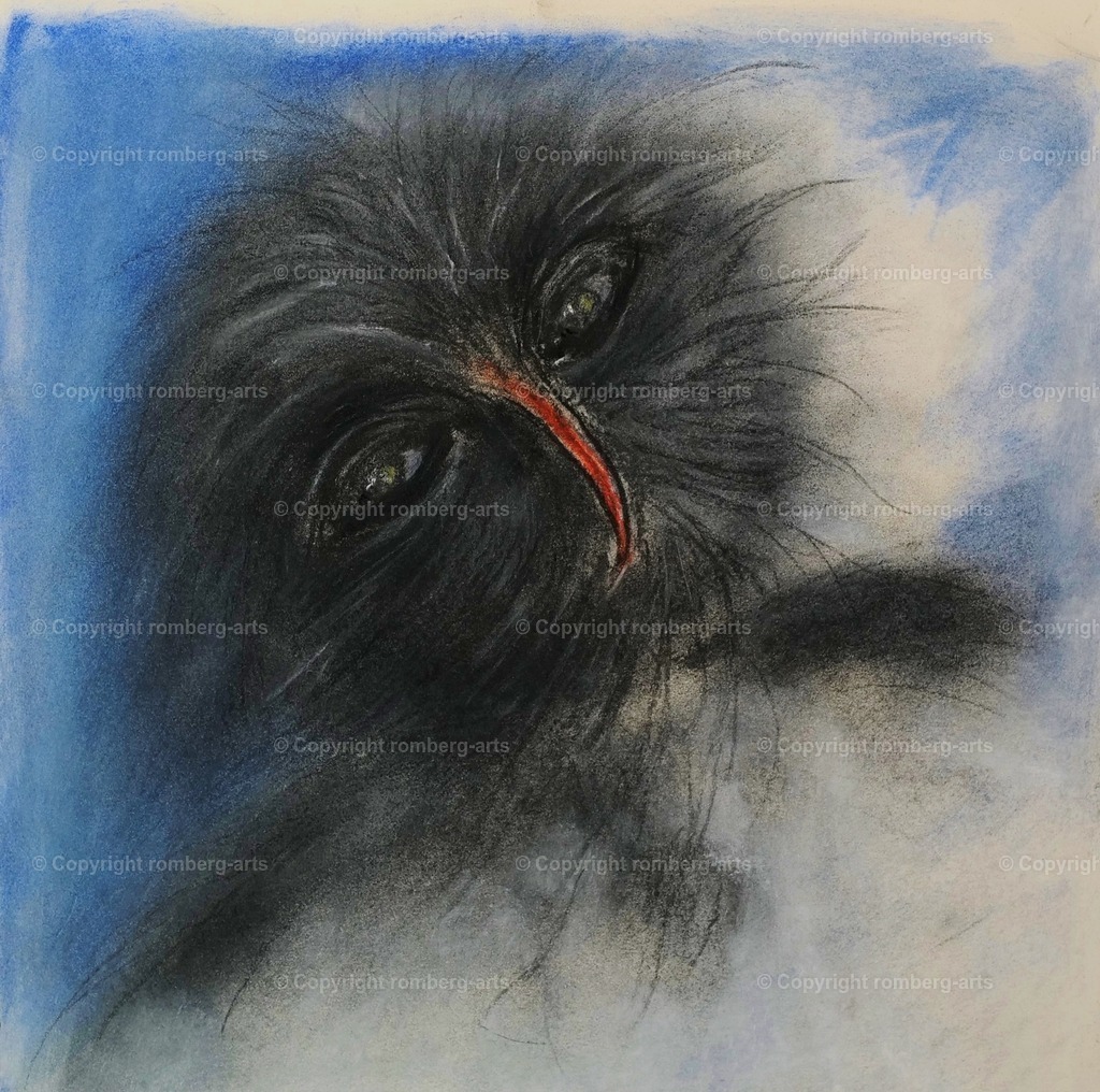 L1020024 (2) | romberg-arts, romberg-arts.de, www.romberg-arts.de, Foto_Online_Shop, Julia Fuhrmann, Köln, Fotos, Fotografie, Fotokunst, Kunstdrucke, Naturfotos, Aktfotos, Nacktfotos, schwarz_weiß_Fotos, Blumenfotos, Blumen, Tiere, Beton, Korrosion, Lächeln, Drucke