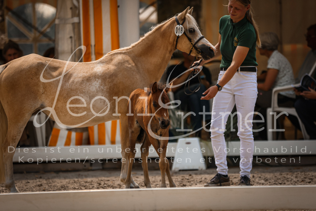 04.DoWP00056 | Leoni Ertmer Photography - Realisiert mit Pictrs.com