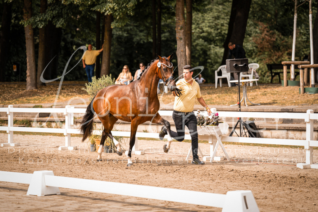 6.Fr00136 | Leoni Ertmer Photography - Realisiert mit Pictrs.com