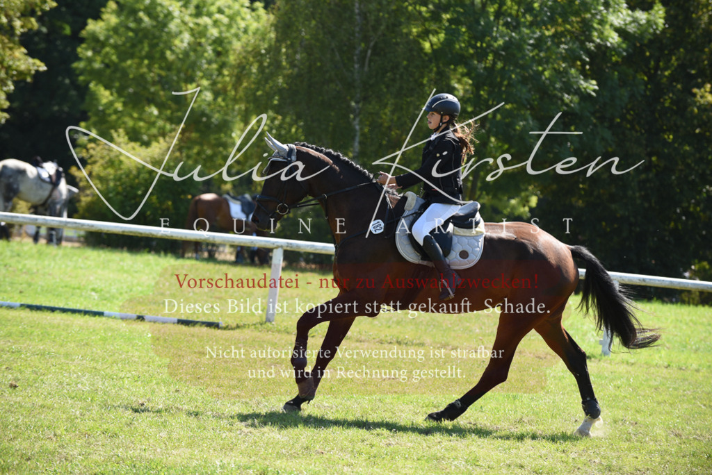 DSC_9441 | Pferde- und Turnierfotografie in Westsachsen. Pferdeportraits, Auftragszeichnungen und intuitive Kunst.
