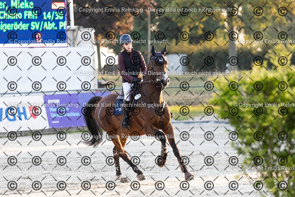 CL5A3007 | Emilia Reinking Fotografie - Realisiert mit Pictrs.com