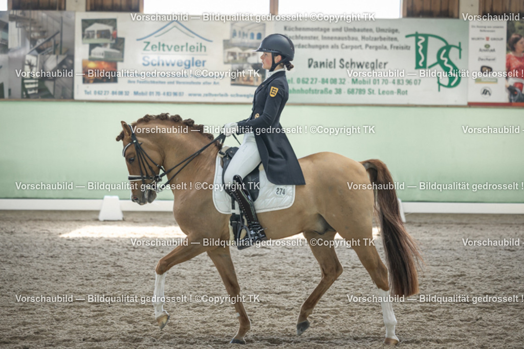 _D5A9453 | Emotionale Pferde- & People-Fotografie rund um Heidelberg, Leimen & Umgebung. Natürliche Fotos von Pferd, Mensch & Familie. Jetzt Termin sichern!