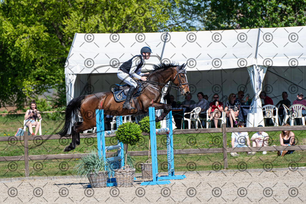 KPT_1146 | andre_photographic