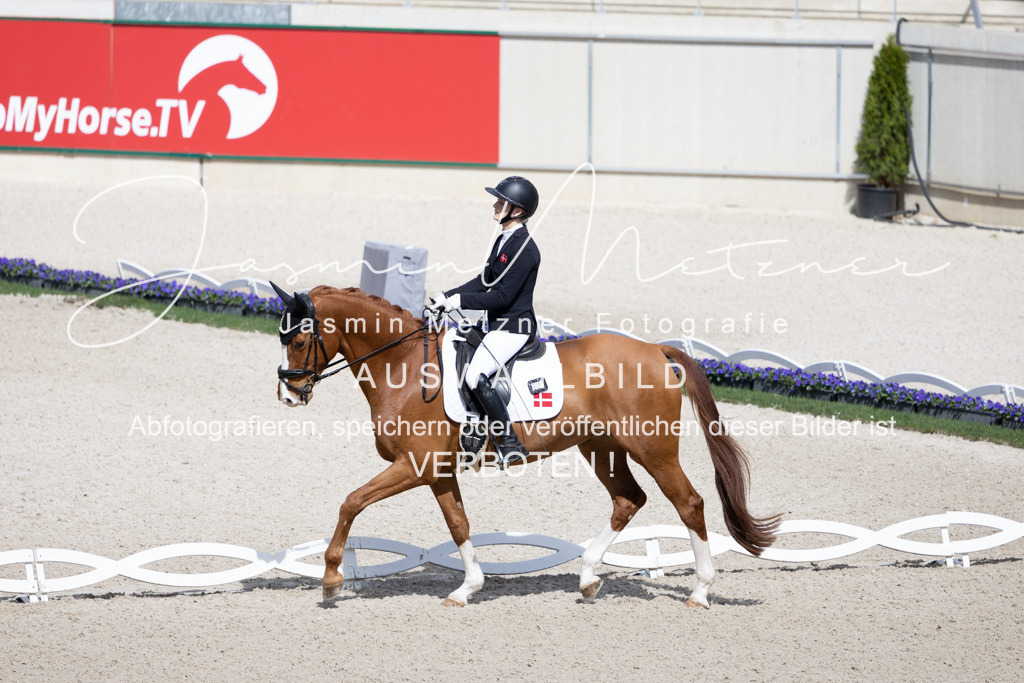 126A0281 | jasminmetznerfotografie