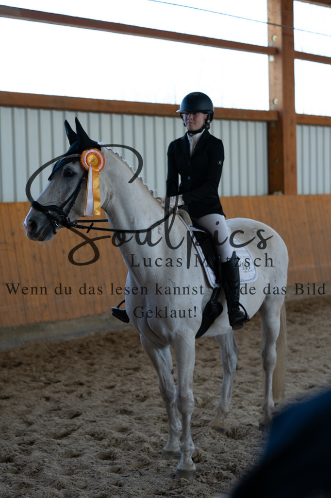 A7V02001 | Pferdefotograf