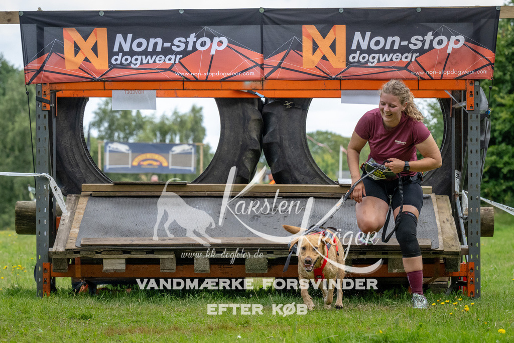 1154_ZZ93233 | kk-dogfotos