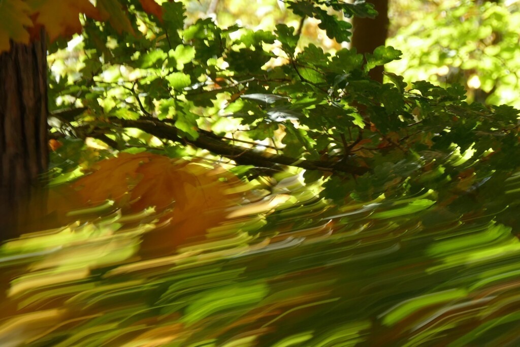 P4030370_b | Annaeherungen - Realisiert mit Pictrs.com