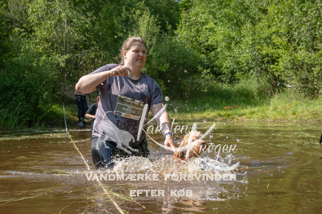 1613DKK993667 | kk-dogfotos