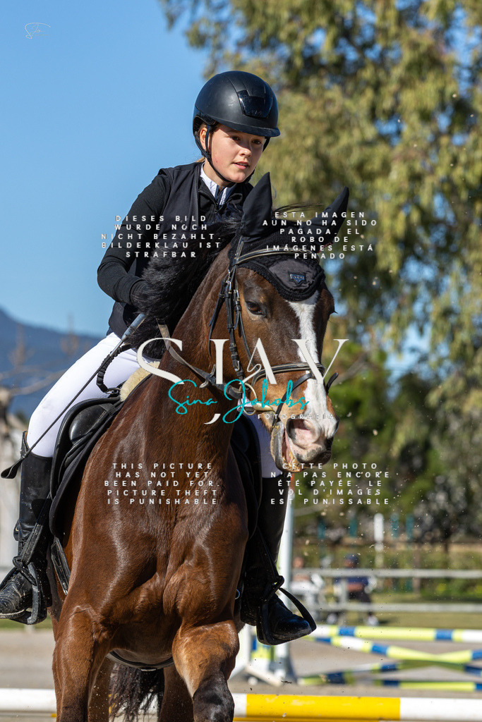 IMG_8639 | s-jay-photography - Realisiert mit Pictrs.com